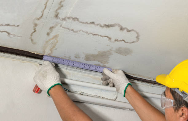 Reliable Water Damage contractor in McCutchenville, OH by Water Damage Irwin